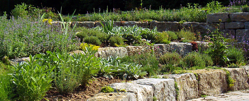 Um eine Erhebung im Garten aufzufangen, wurden mit Natursteinblöcken Terrassentreppen angelegt und mit Stauden bepflanzt.