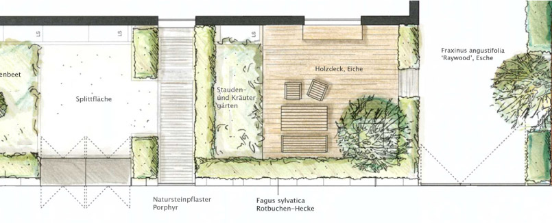 Individuelle Gartenplanung. Gartenansicht skizziert mit natürlichem Sichtschutz aus einer Rotbuchenhecke und einer Terrasse mit Holzdeck aus Eiche.