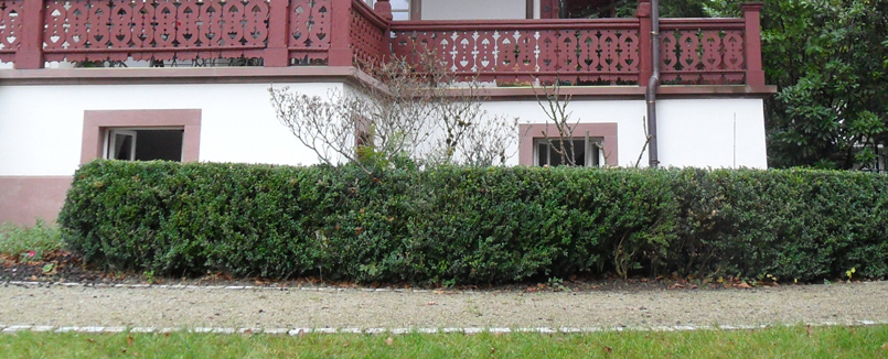 Ein Gartenweg aus Bessunger Kies mit Wegekante aus Muschelkalkpflaster führt an einem Landhaus vorbei. Kultivierter Buchsus schrÃ¤nkt den Blick in das Innere des Hause ein.