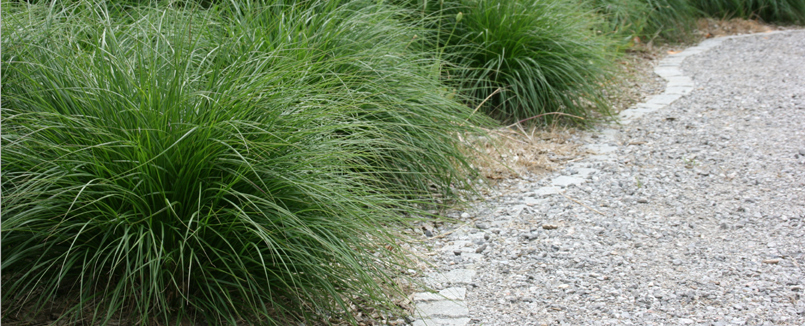 Ein geschwungener Gartenweg mit Splittbelag. Der Weg ist mit Granitpflaster eingefasst.