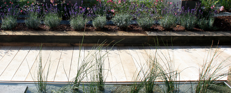 Weiteres Beispiel für Gartengestaltung: ein Holzsteg aus Eichenholz auf einer Dachterrasse. Im Hintergrund StaudengewÃ¤chs.