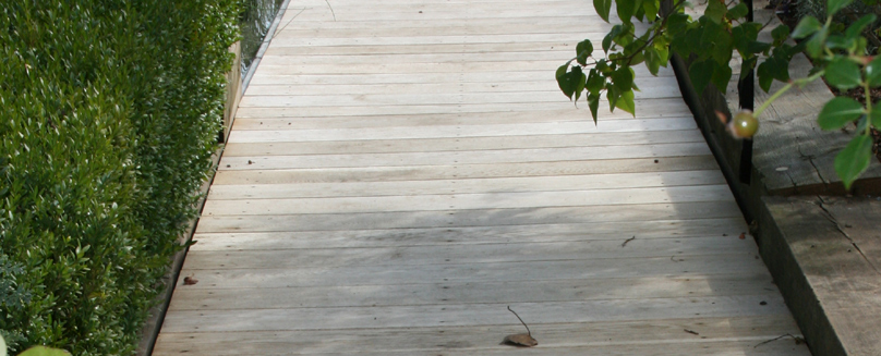 Ein Holzsteg aus Eichenholz führt an einer Buxushecke vorbei. Rechts des Stegs ist eine Beeteinfassung aus Holz. Naturnahe Gestaltung einer Dachterasse.