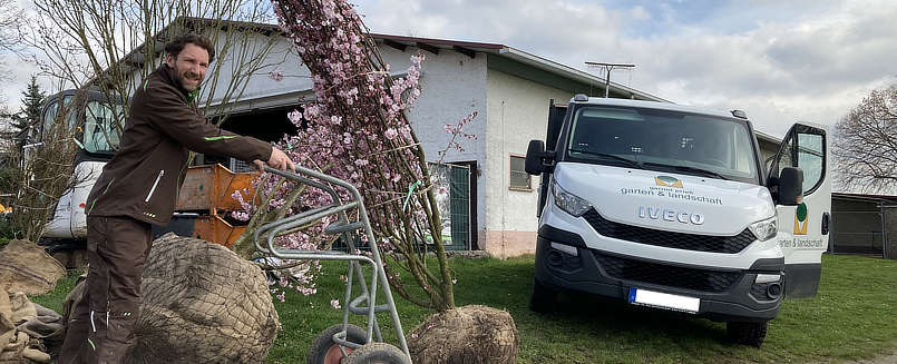 Ein Gartenbauhelfer legt Natursteinpflaster über feinen Kies. Ein Weg wird gestaltet.