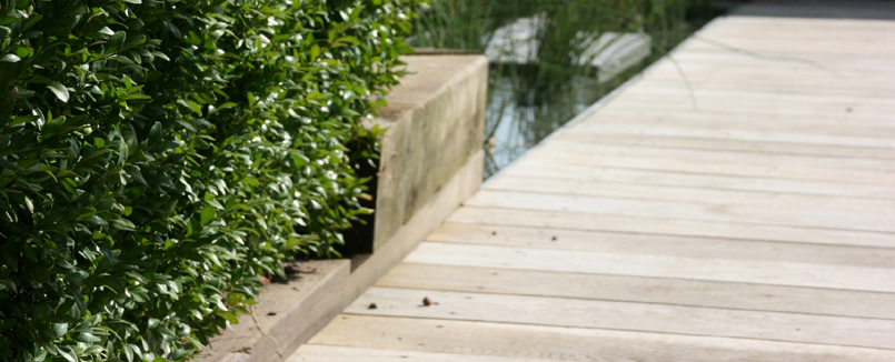 Beispiel für Gartengestaltung: ein Holzsteg mit Buxus gesäumt.