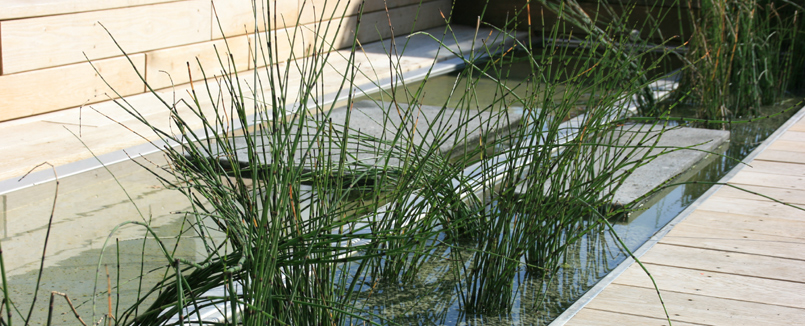 Wasser ist ein wichtiges Gestaltungselement im Gartenbau. Hier sehen Sie ein Wasserbecken aus Edelstahl mit Trittplatten aus Basaltlava aus der Eifel.