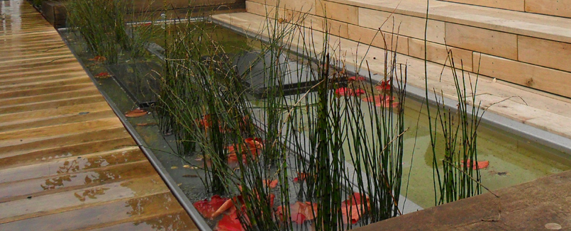 Wasser in der Gartengestaltung im Herbst: Das Laub des wilden Weines setzt leuchtende Akzente.